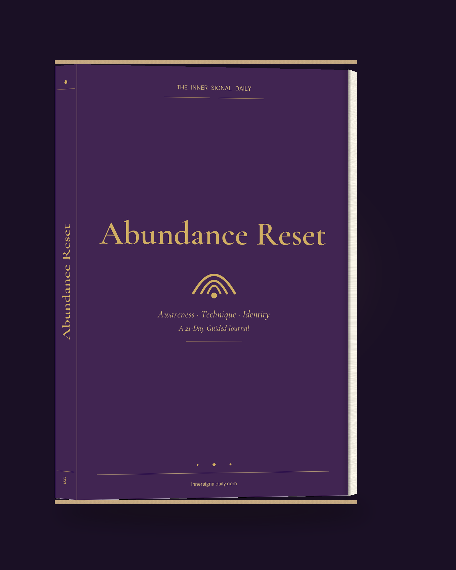 Abundance Reset companion journal