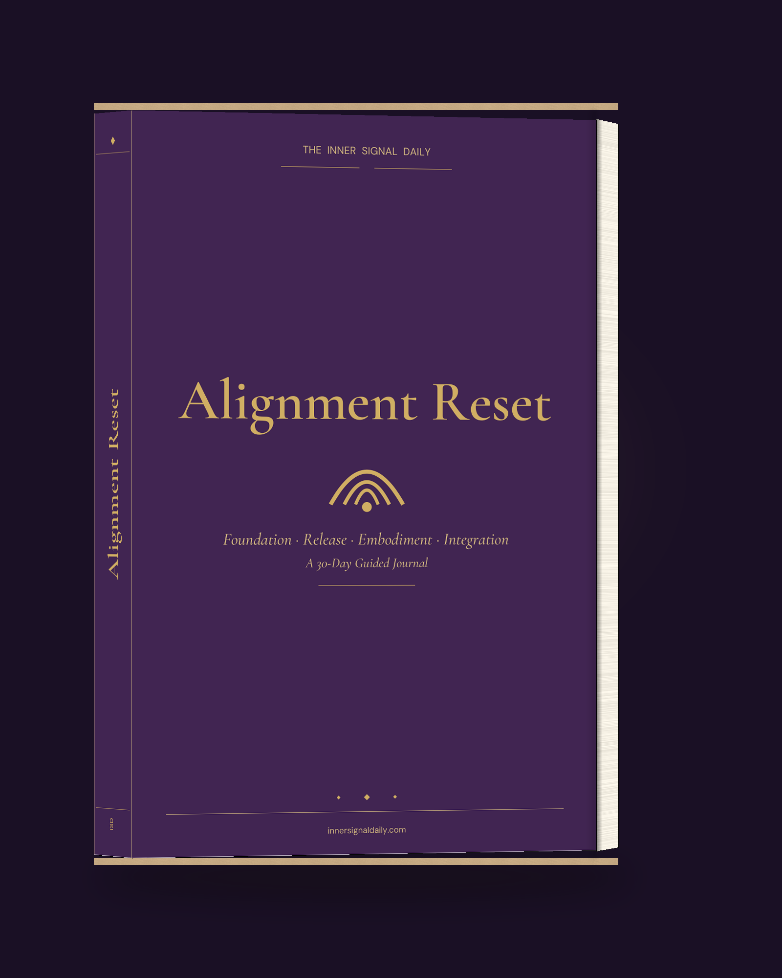 Alignment Reset companion journal