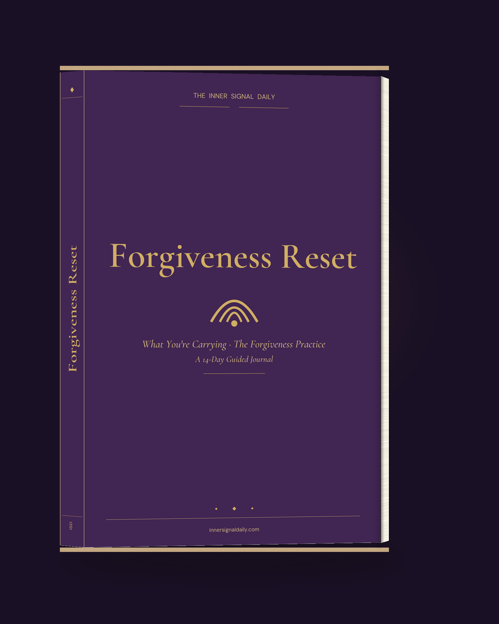 Forgiveness Reset companion journal