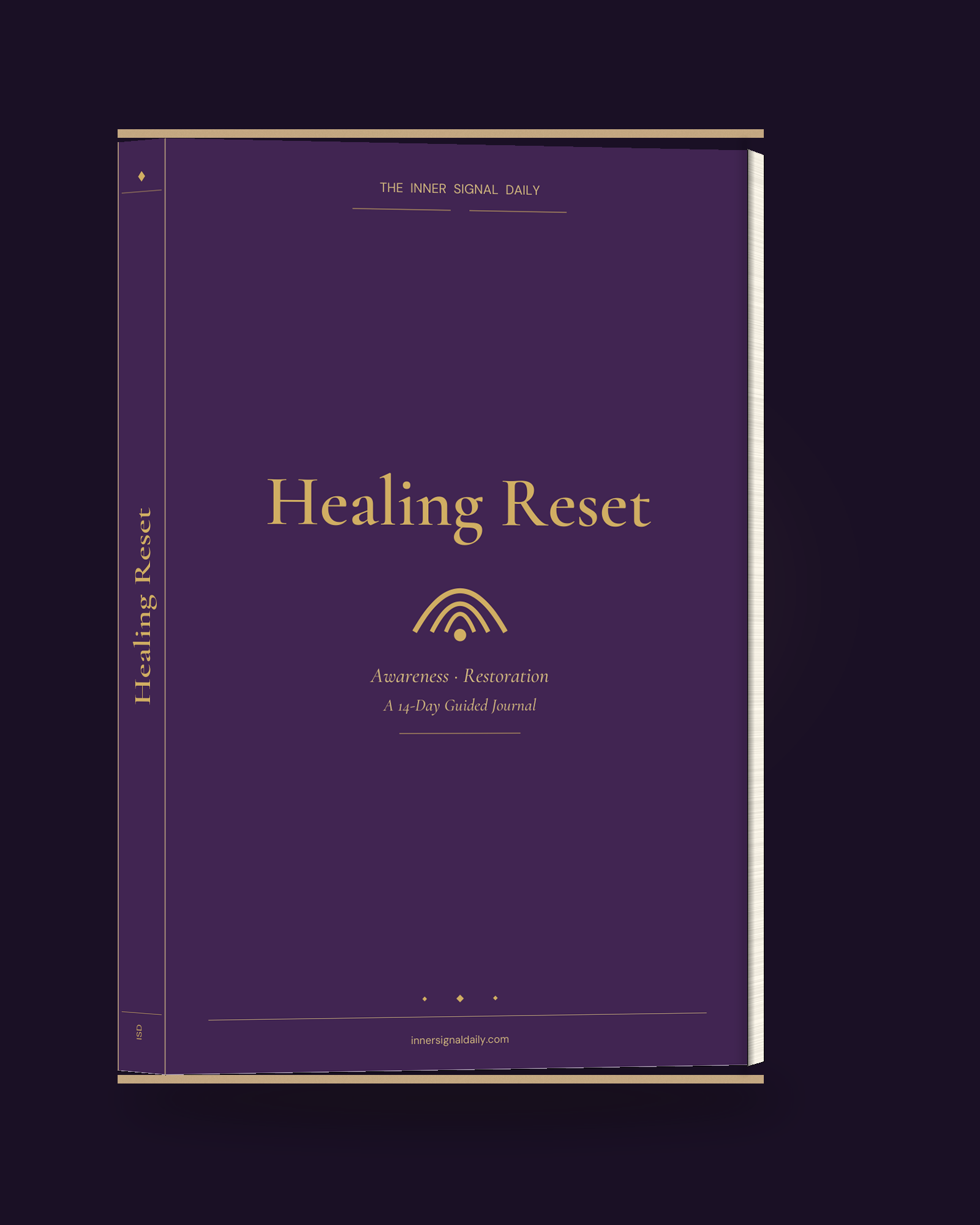 Healing Reset companion journal